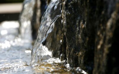 Agua embotellada vs agua filtrada: ¿qué opción es mejor?